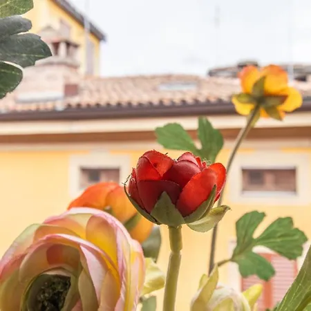 Daire Monolivi 35 - Affitti Brevi Italia *