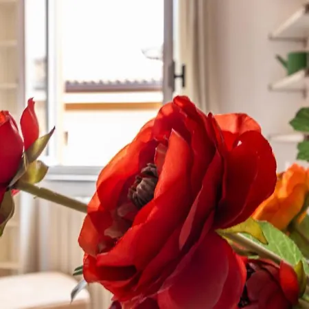 Monolivi 35 - Affitti Brevi Italia Appartement Modène