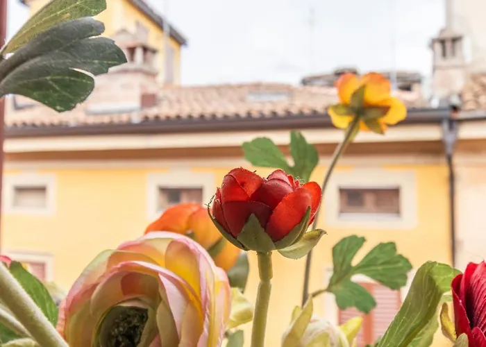 Appartamento Monolivi 35 - Affitti Brevi Italia *